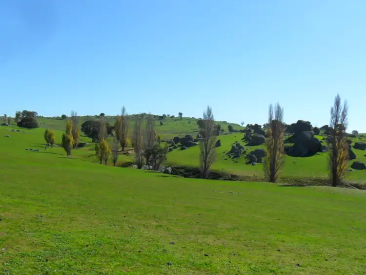 Sixth view of Homely rural property listing, 476 Abbey Collins Road, Biala NSW 2581