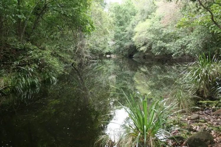 Third view of Homely land listing, Lot 2 Saggers Creek Road, Stroud NSW 2425