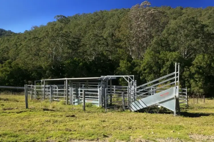 Fifth view of Homely rural property listing, 1368 Mill Creek Road, Stroud NSW 2425