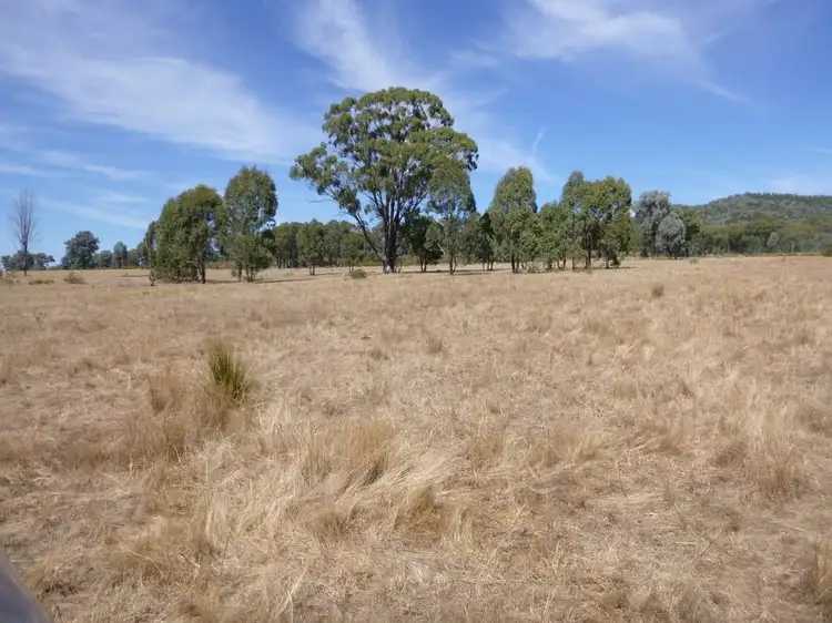 Seventh view of Homely rural property listing, 333 Sheep Station Road, Cowra NSW 2794