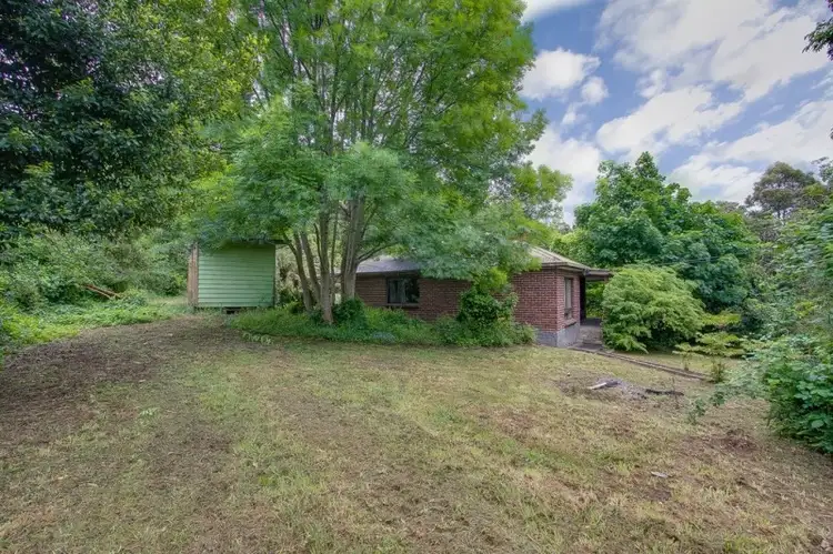 5 Prince Street, Sassafras VIC 3787