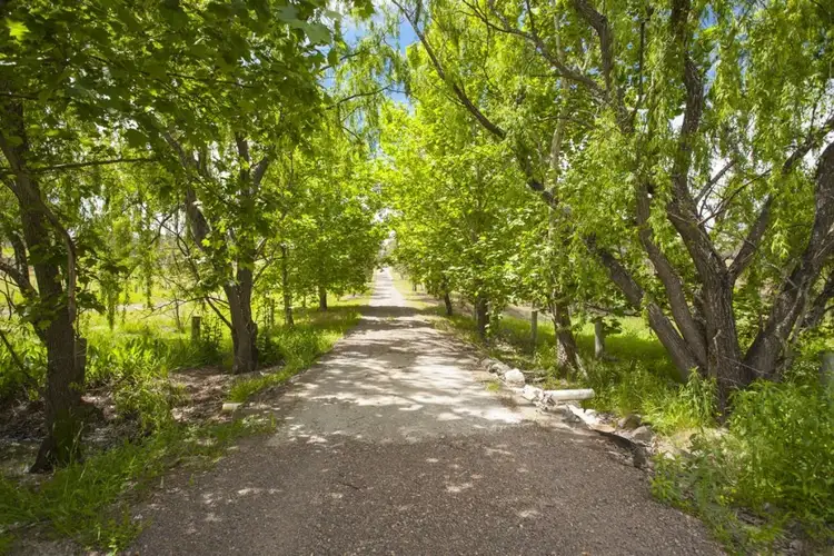 Second view of Homely rural property listing, 82 Glen Williams Road, Clarence Town NSW 2321