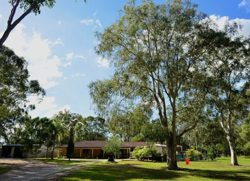 Main view of Homely rural property listing, 55 Lagoon Rd, Carbrook QLD 4130