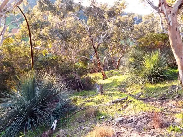 Sixth view of Homely rural property listing, Lot 2 Stockwell Rd, Yankalilla SA 5203