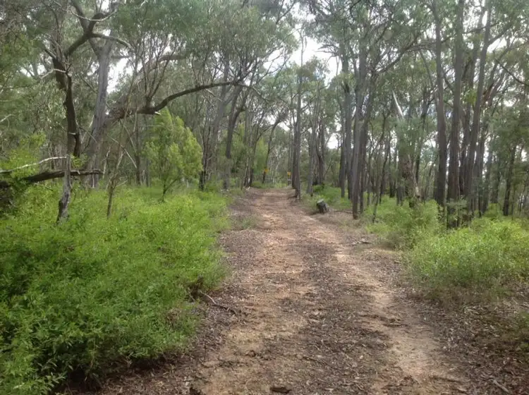 Main view of Homely land listing, 45 Dingley Dell Road, Healesville VIC 3777