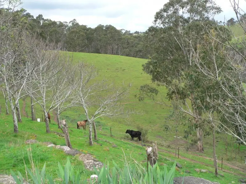 Main view of Homely house listing, 3953 Whittlesea Yea Road, Flowerdale VIC 3717