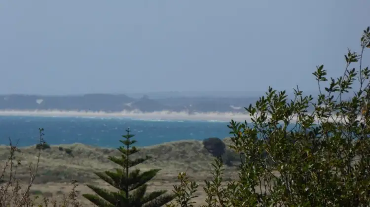 Fourth view of Homely house listing, 11 Bridview Place, Bridport TAS 7262