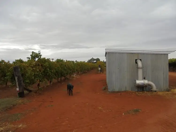 Fifth view of Homely rural property listing, 905 Malaya Road, Robinvale VIC 3549