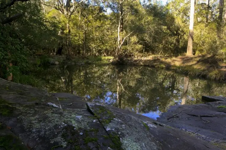Fifth view of Homely rural property listing, 352 Pinebrush Road, Dungog NSW 2420