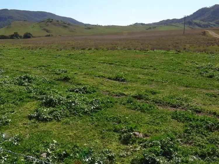 Fourth view of Homely land listing, LOT 13 Sandy Creek Road, Mccullys Gap NSW 2333