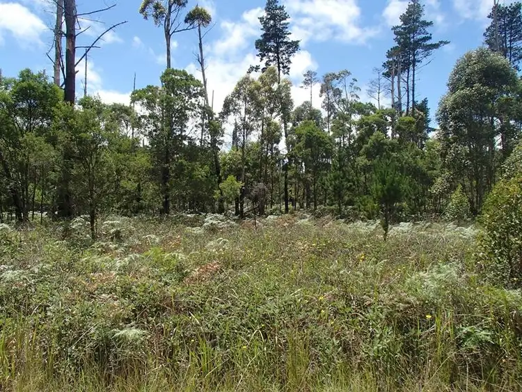Third view of Homely land listing, LOT 175 South Drive, Stanthorpe QLD 4380
