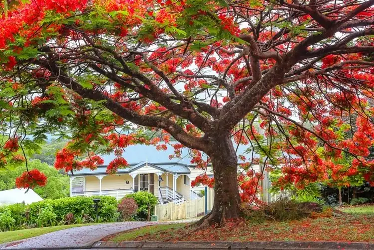 82 William Street, Buderim QLD 4556
