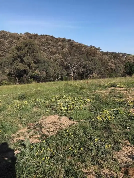 Fourth view of Homely land listing, 13 Rusty Gate Court, Diamond Creek VIC 3089