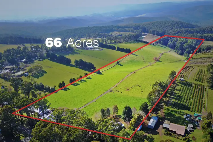 354 Extons Road, Kinglake West VIC 3757