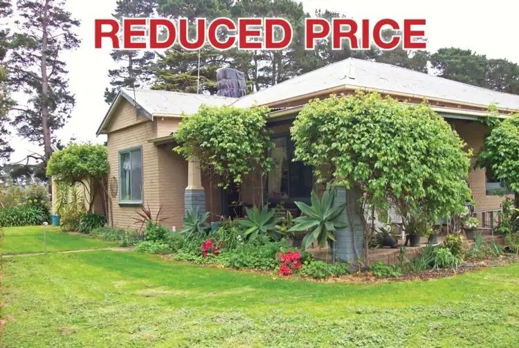 Second view of Homely rural property listing, 157 McLeods Road, Condah VIC 3303