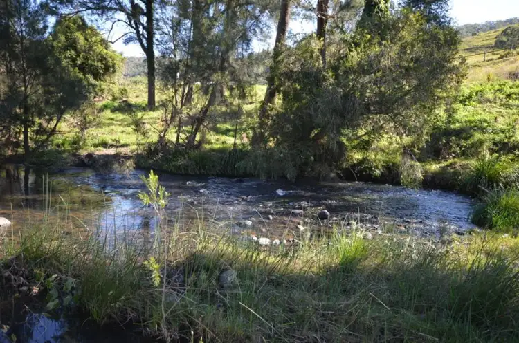 Seventh view of Homely rural property listing, 452 Lamington National Park Road, Canungra QLD 4275