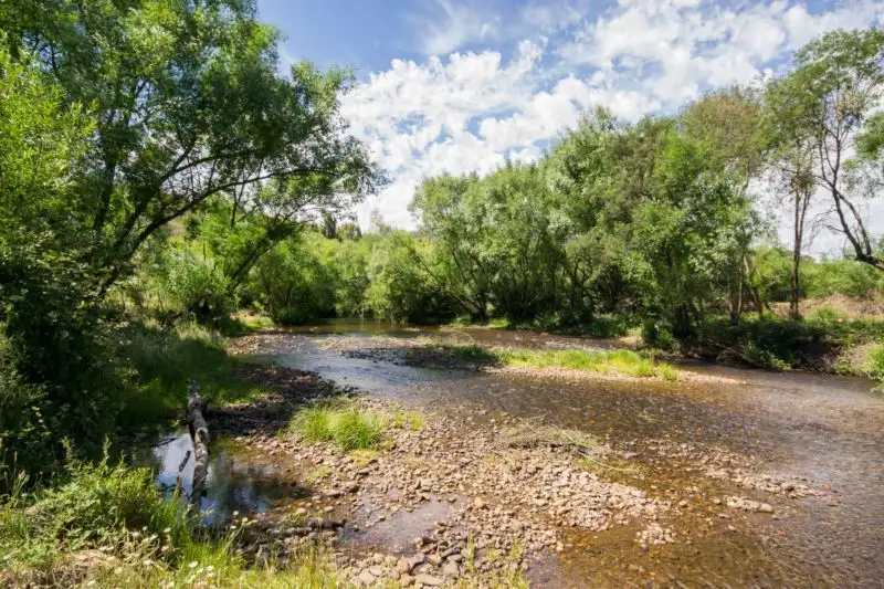Main view of Homely rural property listing, 116 - The Sideling, Jamieson VIC 3723