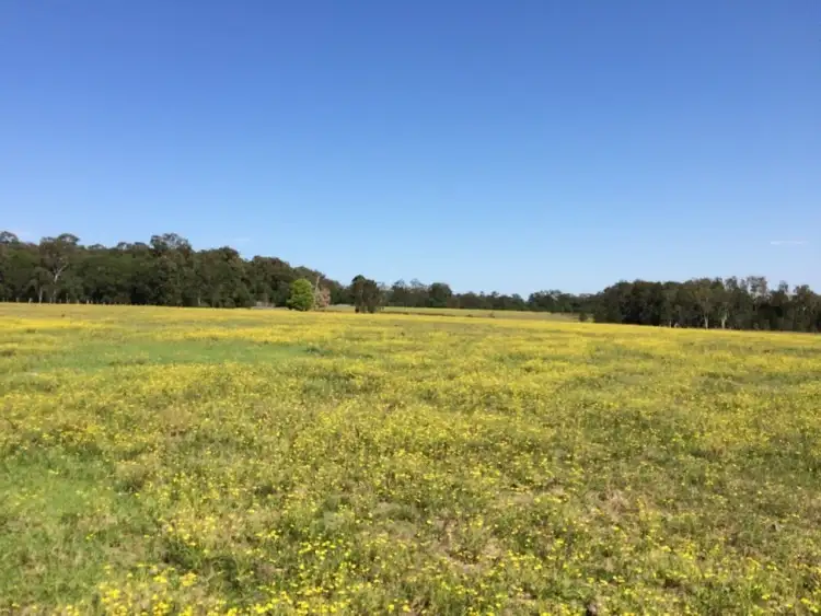 Fifth view of Homely rural property listing, LOT 1/50 Haughwood Road, Bora Ridge NSW 2471