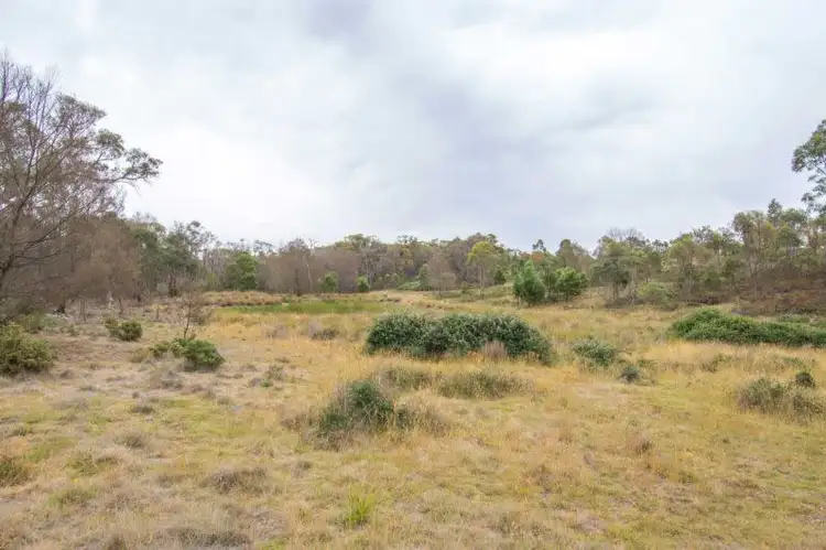 Third view of Homely rural property listing, LOT 16 Tweeney Road, Linton VIC 3360