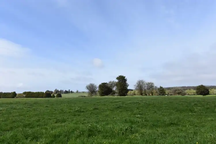 Fourth view of Homely rural property listing, 495 Ti Tree Road, Warrenheip VIC 3352