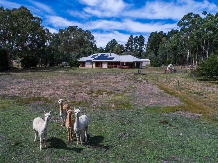Sixth view of Homely house listing, 13 Walters Road, Oakbank SA 5243