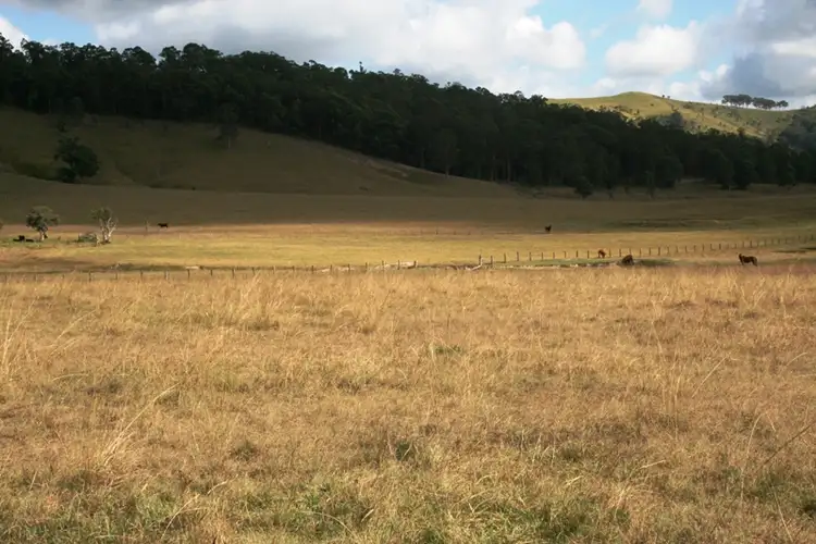 Seventh view of Homely rural property listing, Lot 130 Salisbury Road, Dungog NSW 2420