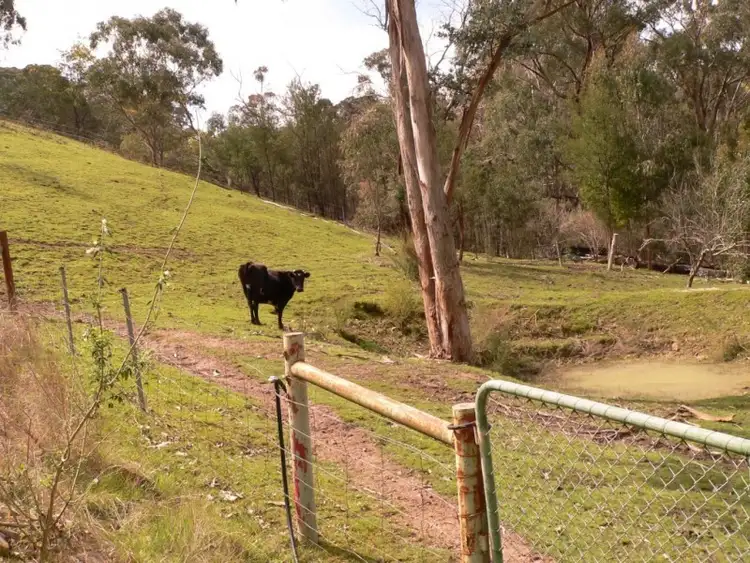 Seventh view of Homely house listing, 3953 Whittlesea Yea Road, Flowerdale VIC 3717