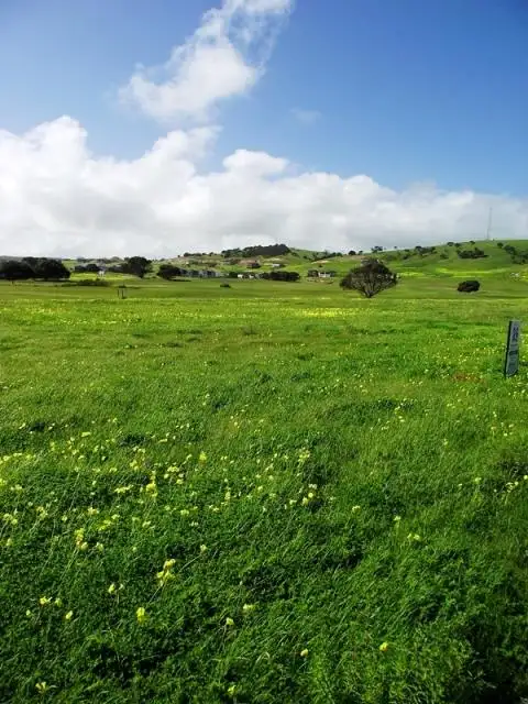 Third view of Homely land listing, LOT 206 The Vines, Normanville SA 5204