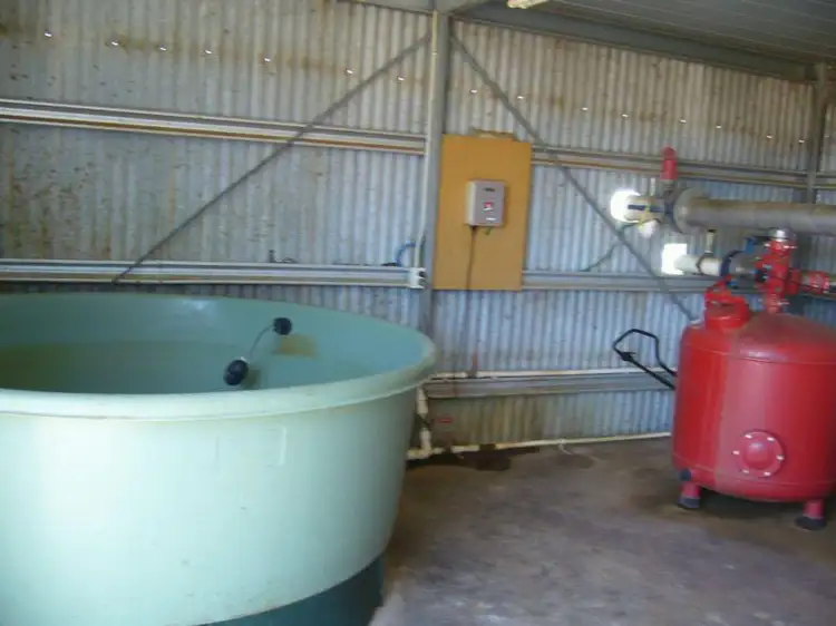 Seventh view of Homely rural property listing, 3030 Murray Valley Highway, Robinvale VIC 3549