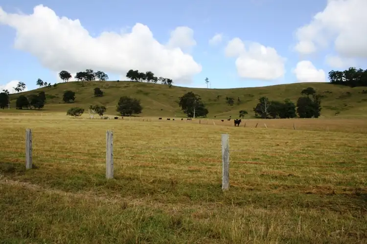 Third view of Homely rural property listing, Lot 130 Salisbury Road, Dungog NSW 2420