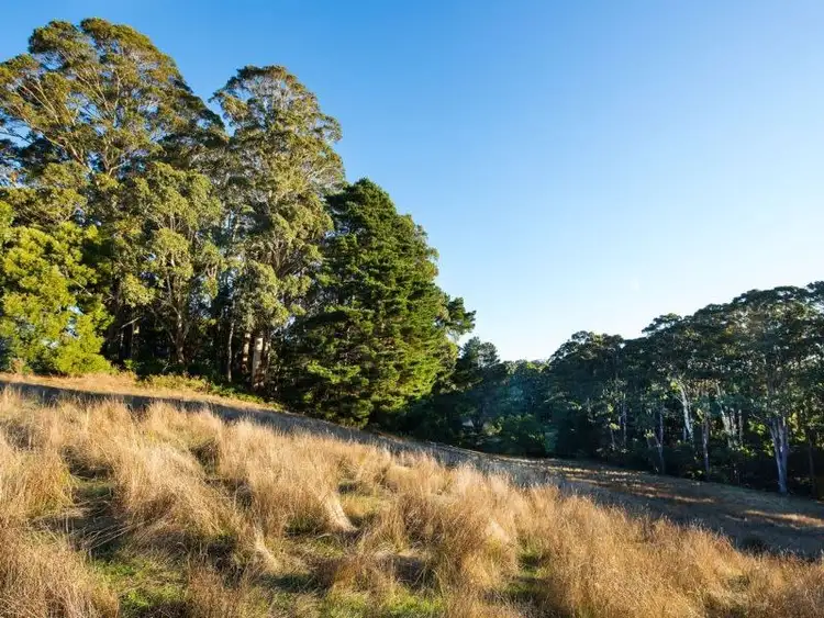 Fifth view of Homely land listing, 116 South Lyonville Road, Lyonville VIC 3461