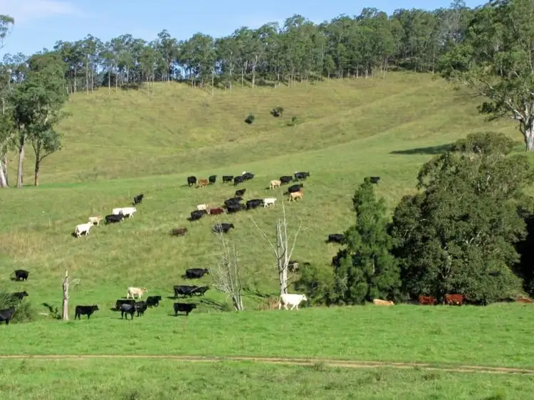 Main view of Homely rural property listing, 583 Wallaringa Road, Dungog NSW 2420