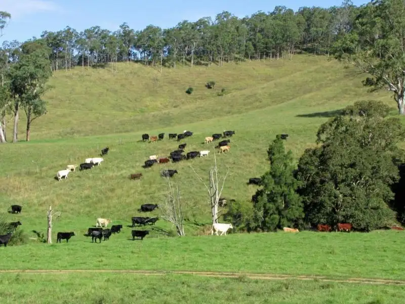 Main view of Homely rural property listing, 583 Wallaringa Road, Dungog NSW 2420