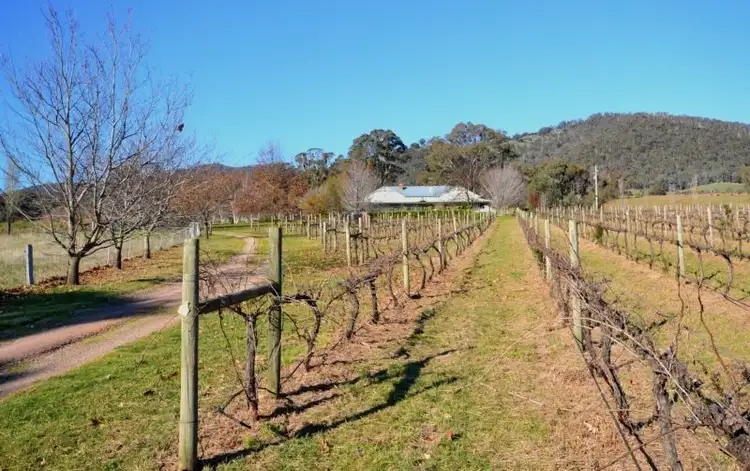 Second view of Homely rural property listing, 257 Desmonds Road, Boorolite VIC 3723