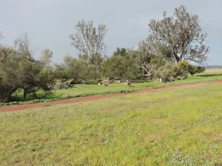Fifth view of Homely land listing, 606 TELEGRAPH ROAD, Toodyay WA 6566