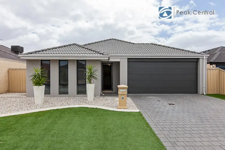 Main view of Homely house listing, 74 Comrie Road, Canning Vale WA 6155