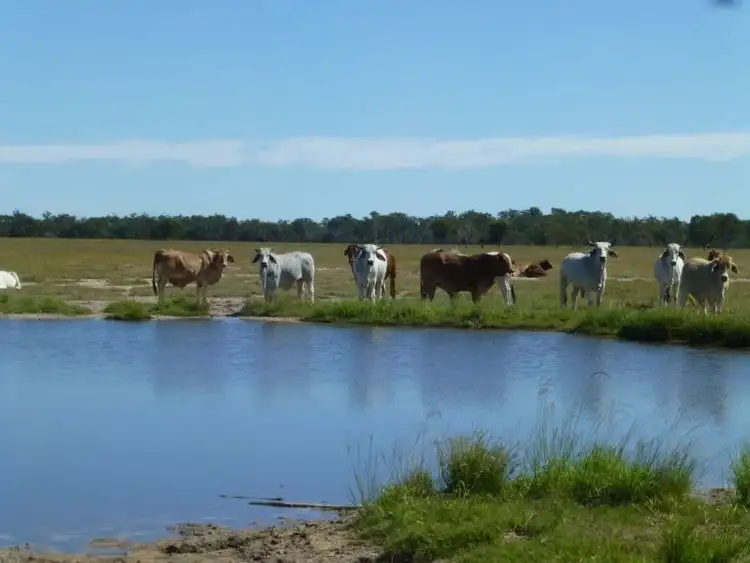Main view of Homely rural property listing, LOT 3 WOODGATE ROAD, Woodgate QLD 4660