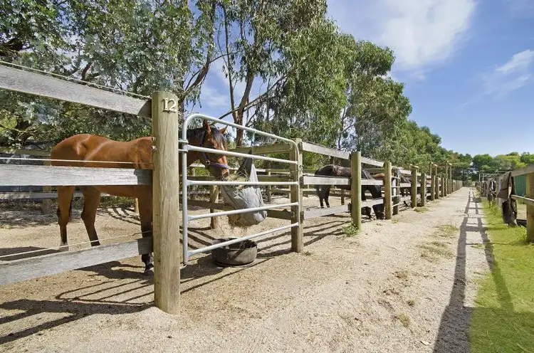 Seventh view of Homely house listing, 25 Lakeside Drive, Gherang VIC 3240