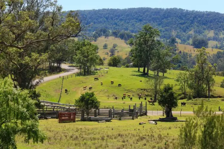Fourth view of Homely rural property listing, 1550 Paterson River Road, Gresford NSW 2311
