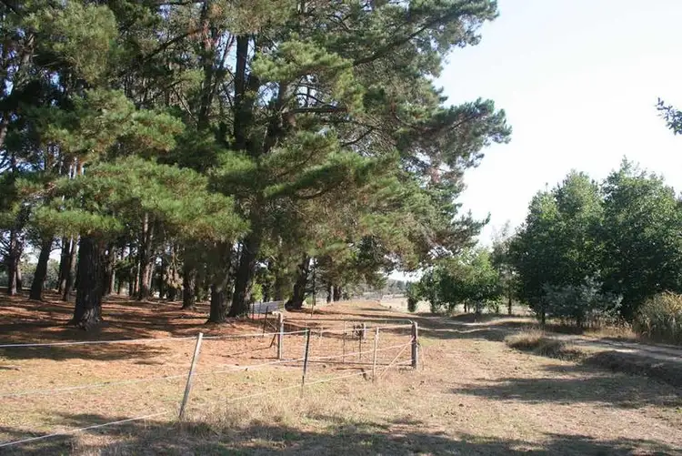 Fifth view of Homely land listing, 350 Wirreanda Road, Wamboin NSW 2620