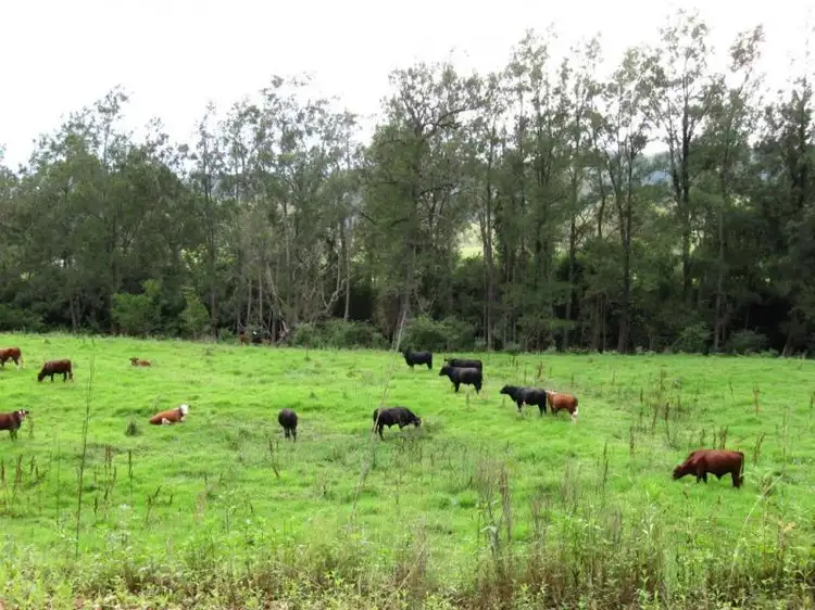 Seventh view of Homely rural property listing, 828 Upper Monkerai Road, Dungog NSW 2420