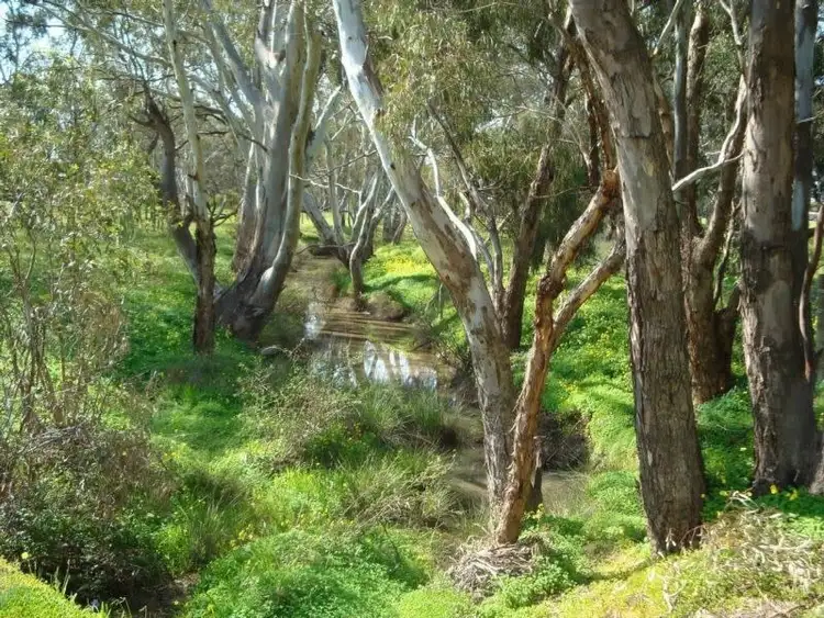 Third view of Homely land listing, LOT 2, 1 Huntly Park - Corner Burgoyne & Brunel Streets, Huntly VIC 3551