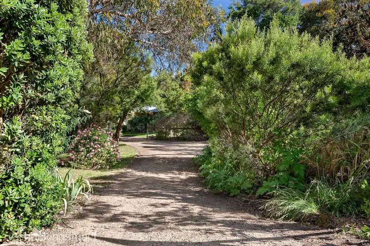 Third view of Homely house listing, 15 Ti-Tree Avenue, Blairgowrie VIC 3942