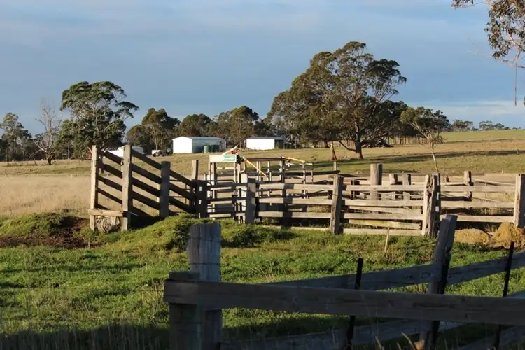 Second view of Homely rural property listing, 233 Collins Road, Devon North VIC 3971