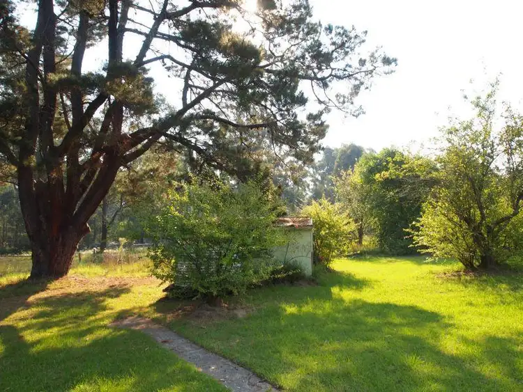 Third view of Homely house listing, 161 Great Alpine Road, Bruthen VIC 3885
