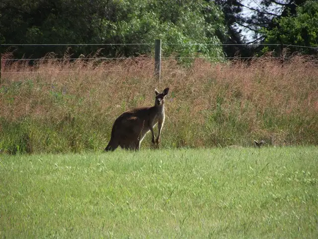 Third view of Homely land listing, LOT 80/6 St Andrews Blvd, Normanville SA 5204