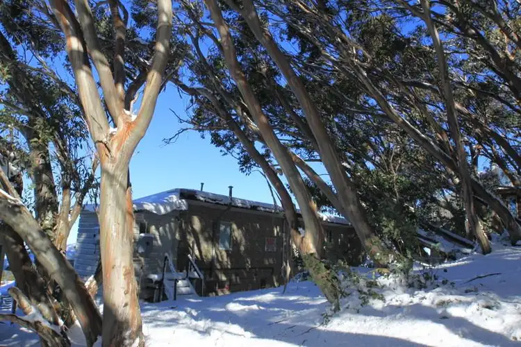 Fifth view of Homely apartment listing, 5/146 Standard Lane, Mount Buller VIC 3723