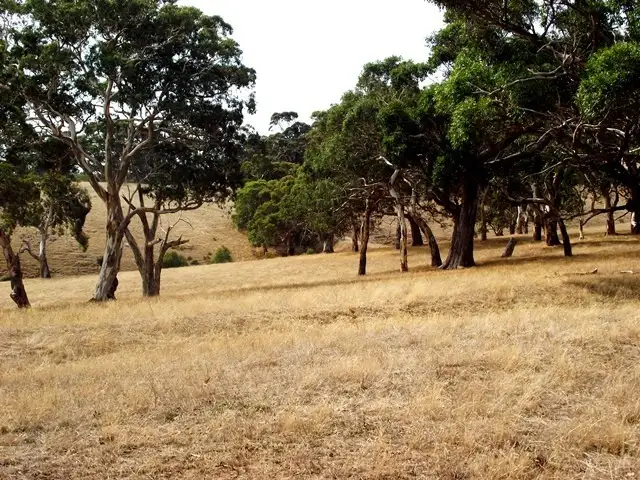 Third view of Homely rural property listing, Lot 51 Bullaparinga Crescent, Delamere SA 5204