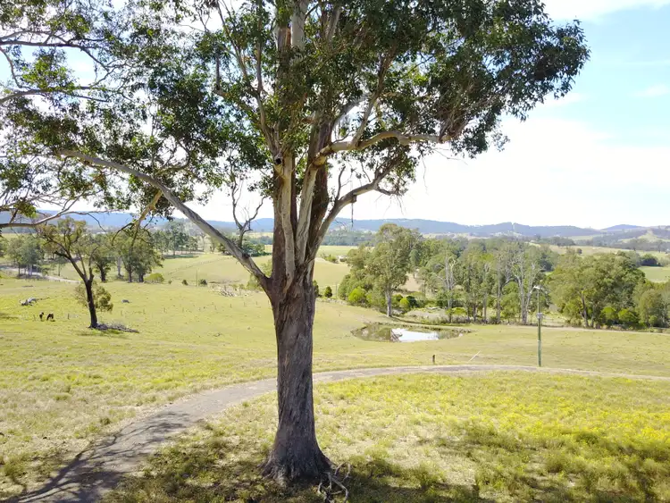 Seventh view of Homely rural property listing, 281 Fosterton Road, Dungog NSW 2420