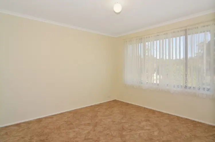 Sixth view of Homely house listing, 229 Illaroo Road, North Nowra NSW 2541